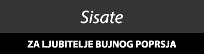 Sisate za seks