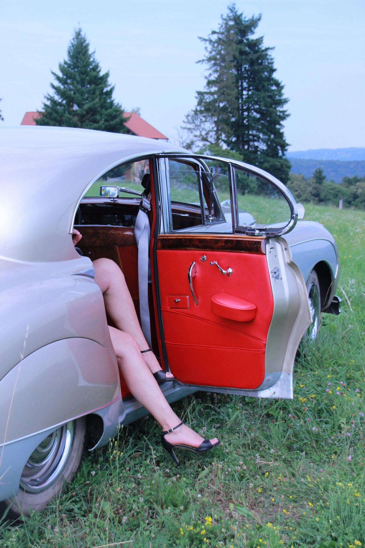 Sta raditi kada ona trazi sex u Kolima?